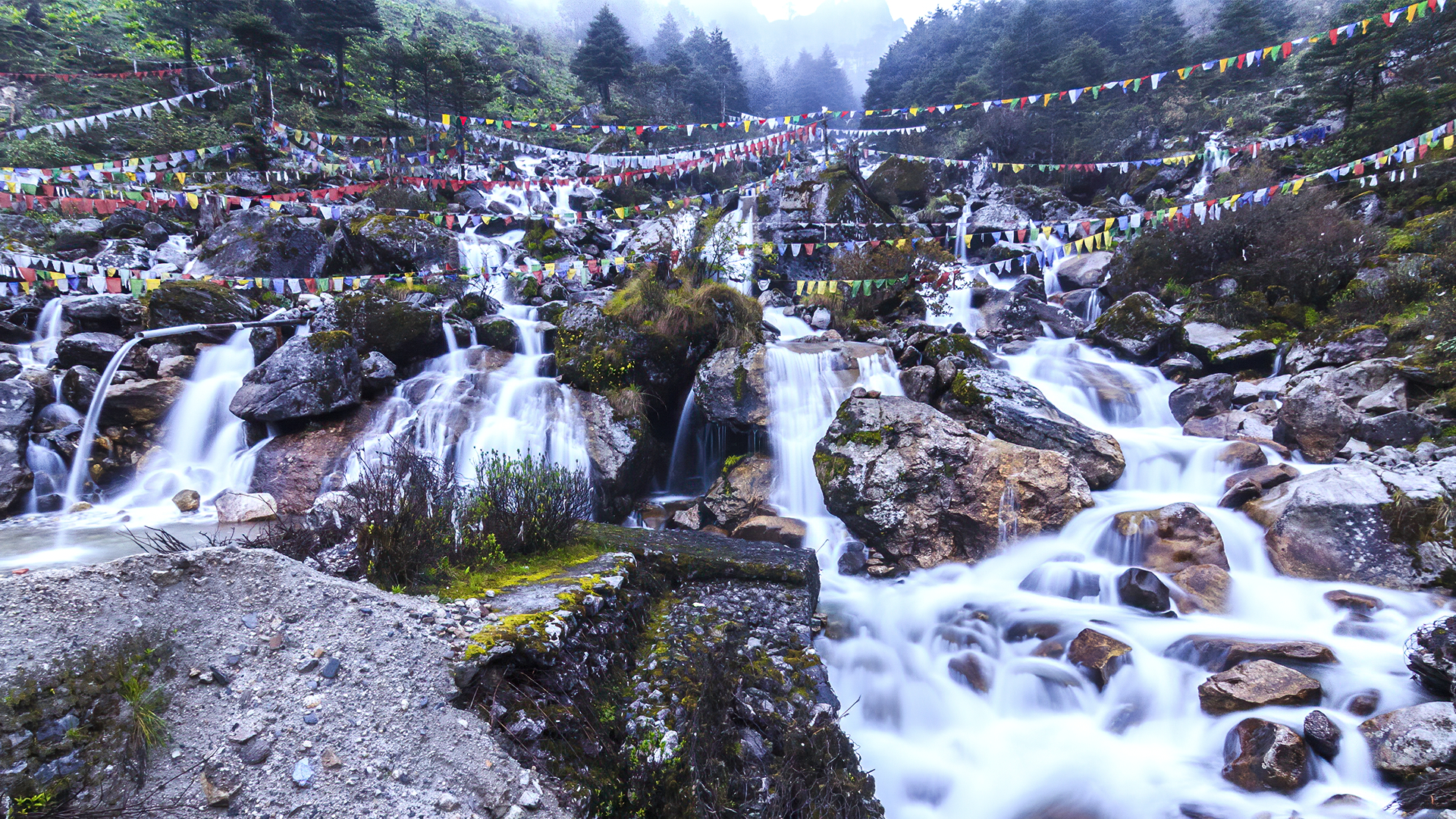 Embark on an adventure of a lifetime through the scenic road of Arunachal Predesh, India WWW.NEJIBAHMED.COM .jpg